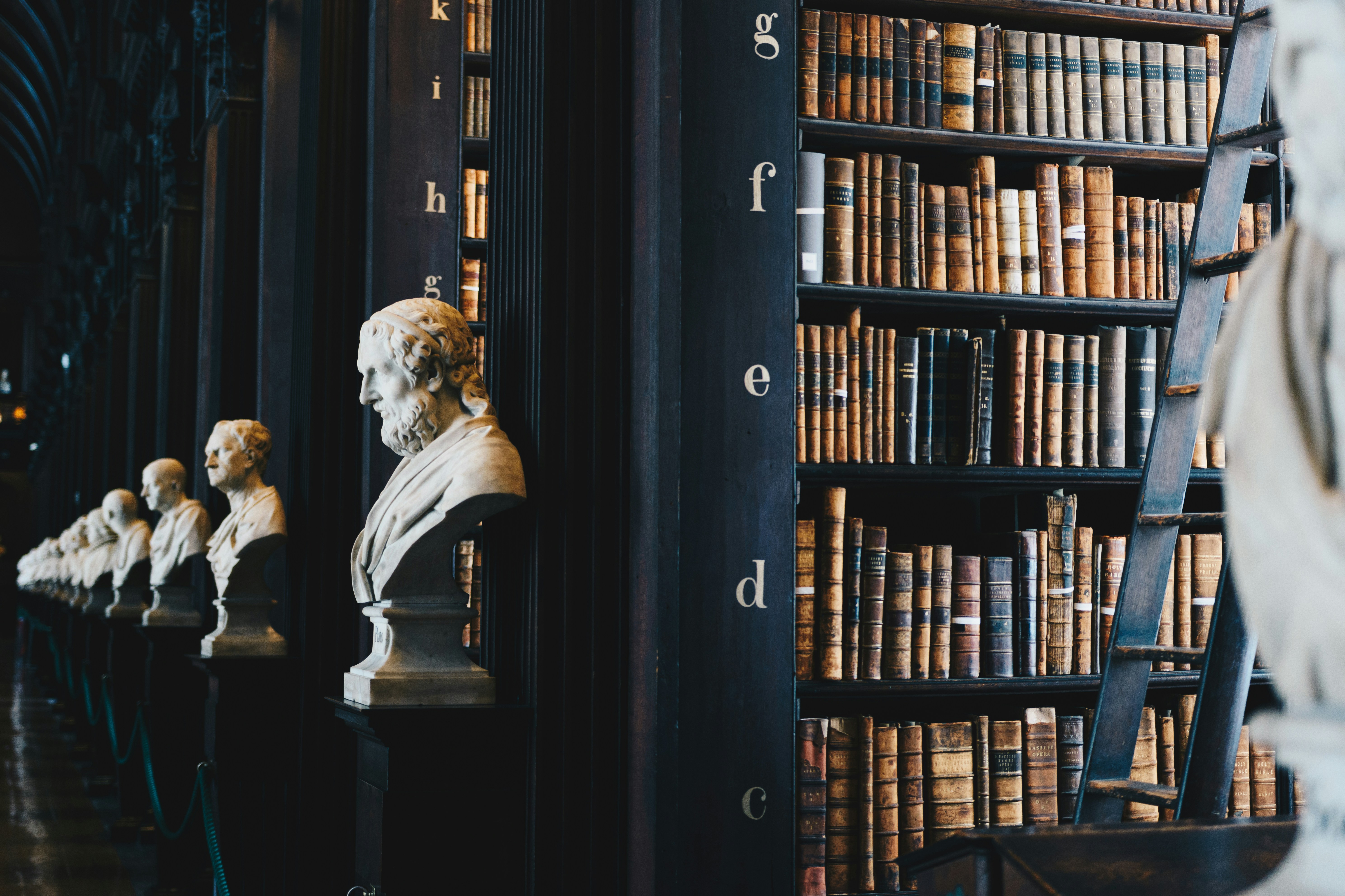 law library with small statues on display in front of shelves